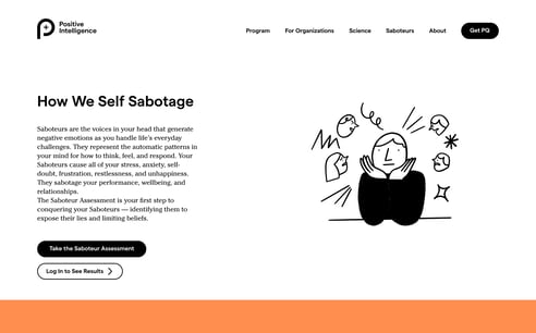 Saboteur Assessment via website